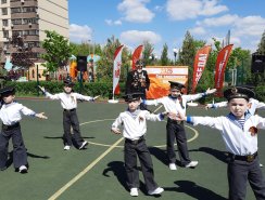 img (7)